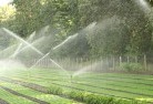Alectownlandscaping-water-management-and-drainage-17.jpg; ?>